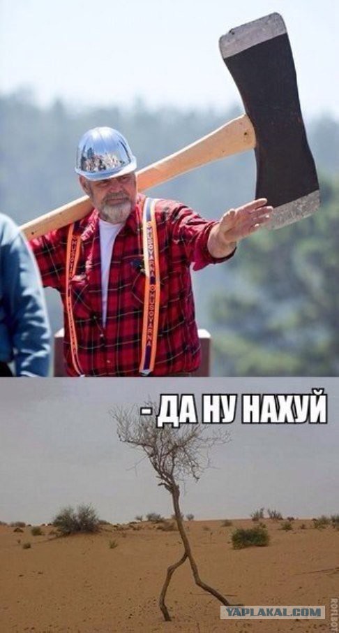 Картинки из сети к пятнице