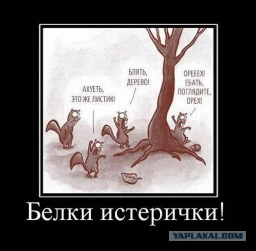Белгородский мост смайлов