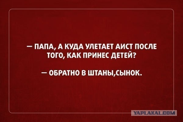 Подборка баянов.