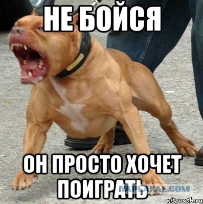 Как я воспользовался травматом