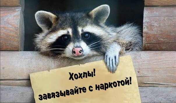 Глава МИД Украины обвинил Россию