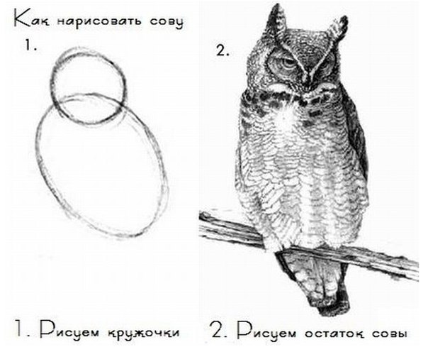 Машина из монтажной пены