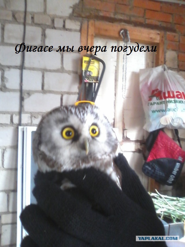 Маленькое чудо в 3 часа ночи