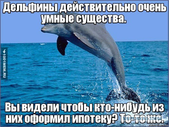 Прикольные картинки и демотиваторы