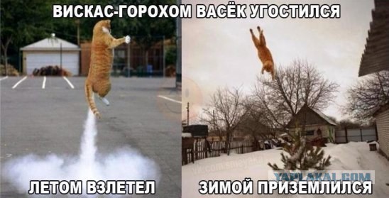 Картинки разные с интернету