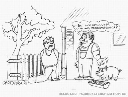 Картинки и прочее