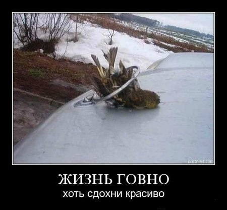15 открыток для тех, кому крайне необходима порция черного юмора