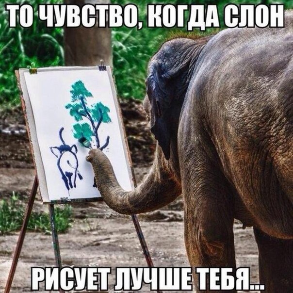 Подборка интересных и смешных картинок