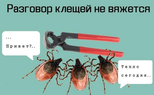 Как работает система Петергофских фонтанов?