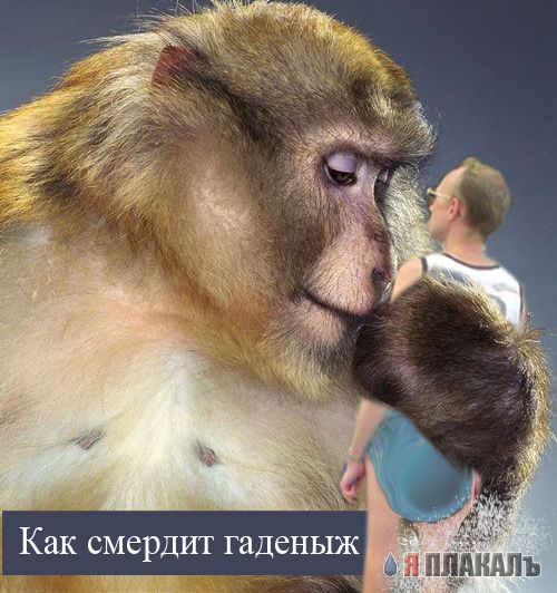 ФОТОЖАБА: Мама я пошел на работу