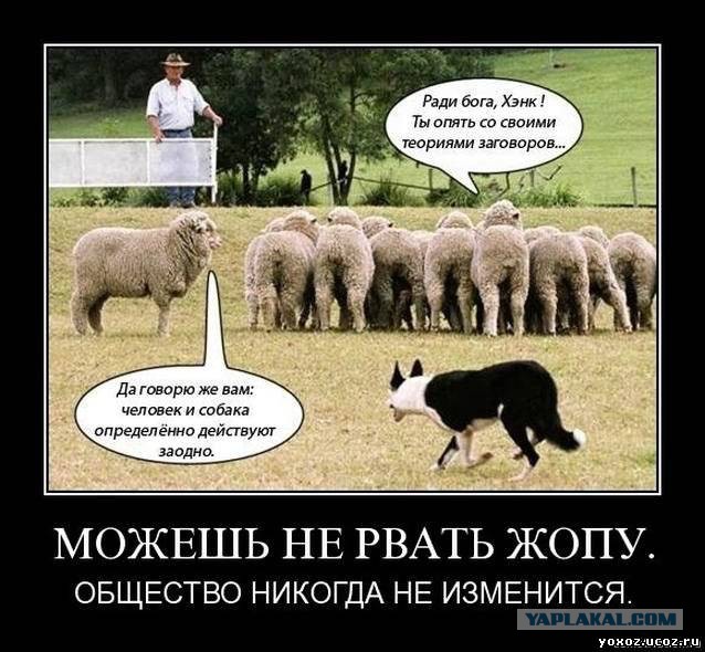 Почему Швейцария считается одной из самых благополучных для населения стран мира?