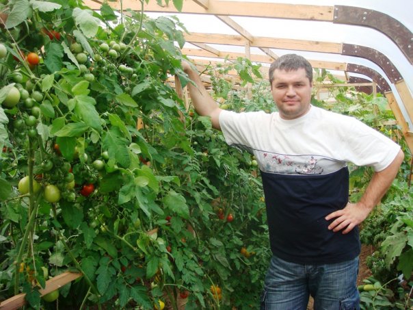 Эксперты пророчат огородный бум: россияне, видя цены на продукты, закупаются семенами