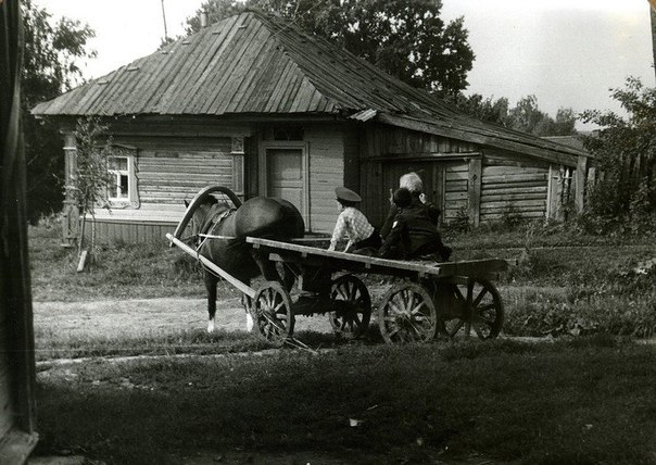 Немного картинок и гифок.