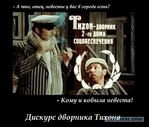 Лошадь испортила свадебную фотосессию американки