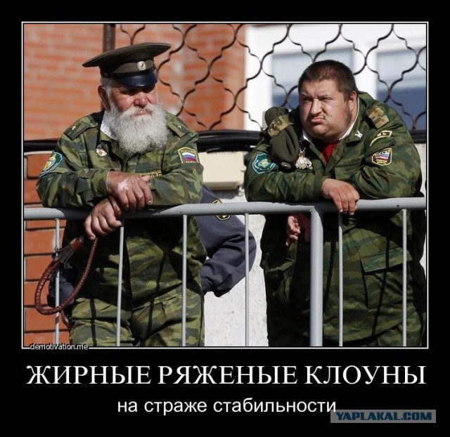 Засланные казачки на подмогу государству