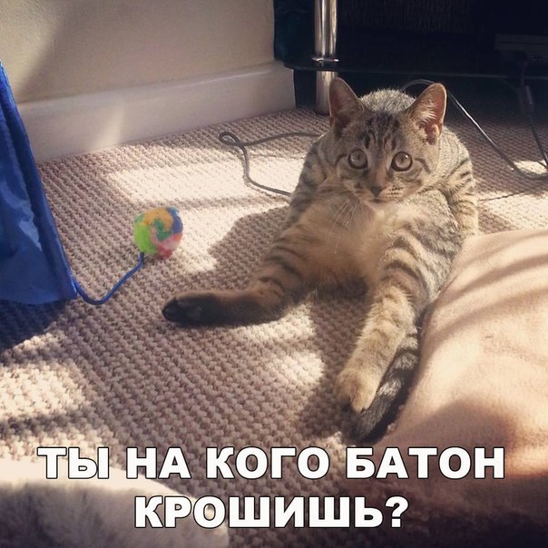 Черненький и абсурдненький юморочек