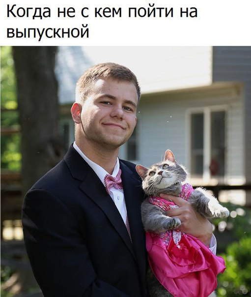 Подборка интересных и веселых картинок
