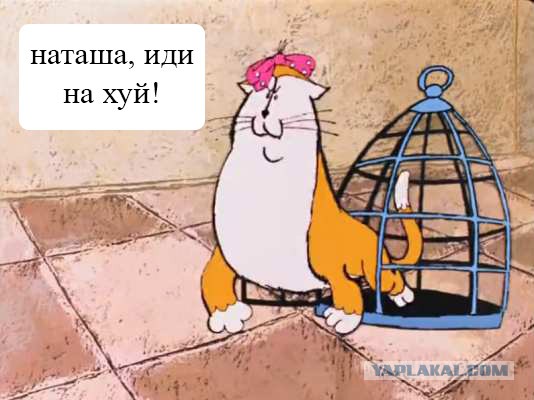 "Это недопустимо!" - Поклонская разругалась с Ройзманом в соцсетях из-за поджога "Космоса"