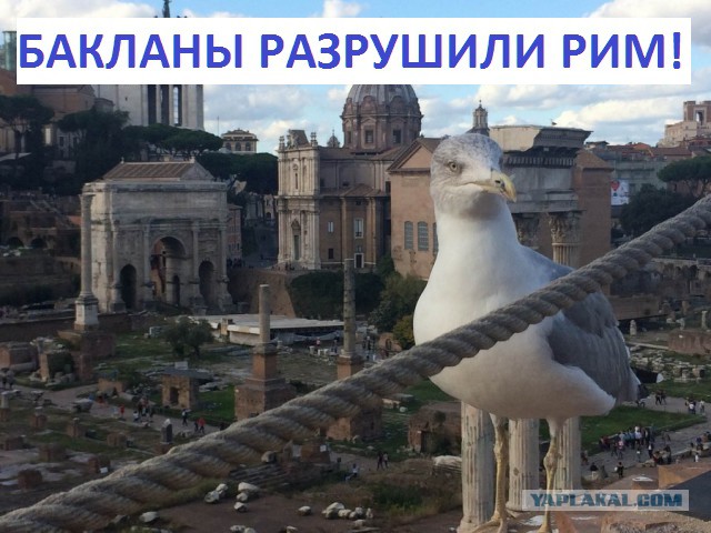 Подборка интересных и веселых картинок