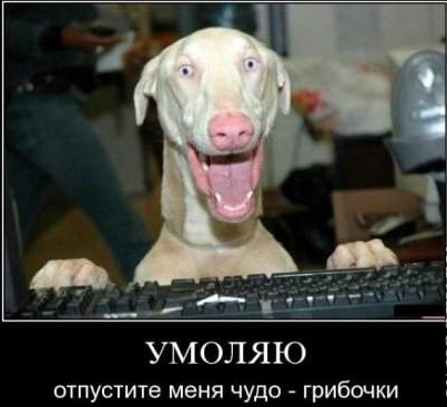 С выраженьем на лице...