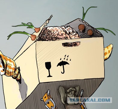 Тест на смекалку "Аллегория анатомии".