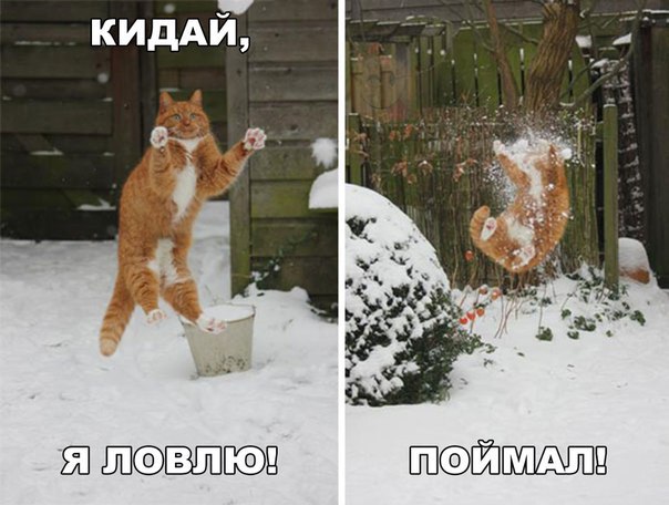 Всякие странные картинки