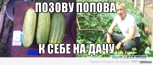 Геморрой