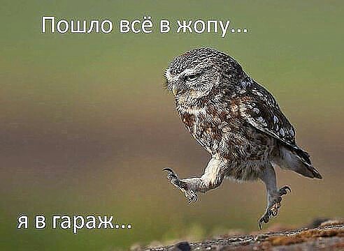 Мой гараж