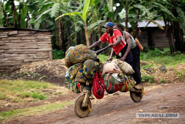 Бамбуковый велосипед