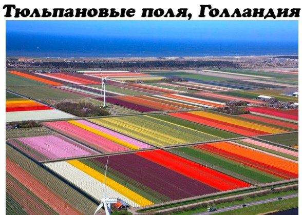 Идеально (фотоподборка)