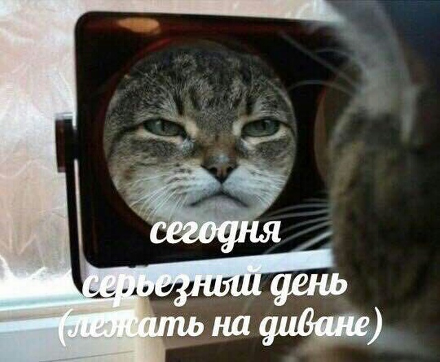 Немного милоты