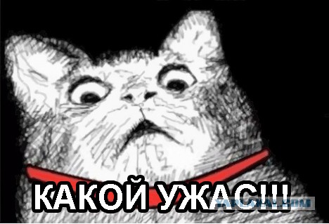 Был на таком один раз. Хватило