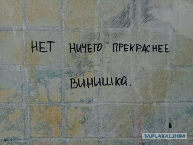 Пользователи интернета видят рифмы и слагают прикольные четверостишия