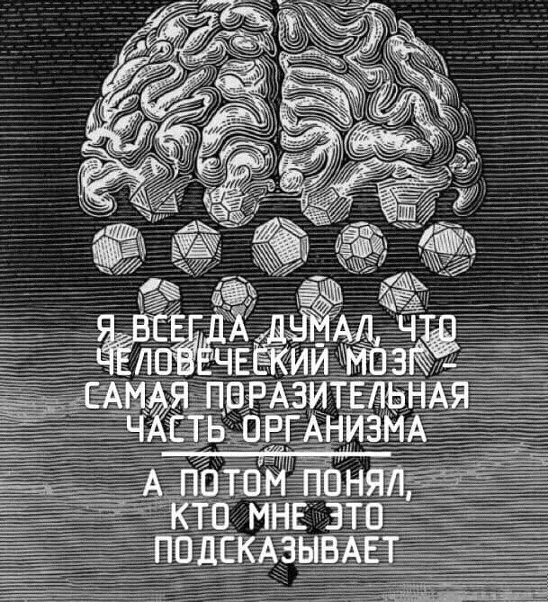 Анекдоты, соц-сети и картинки с надписями