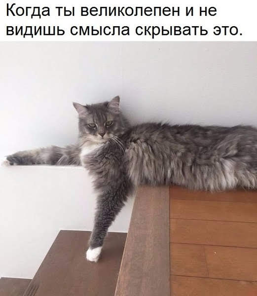 Анекдоты, истории и картинки с надписями
