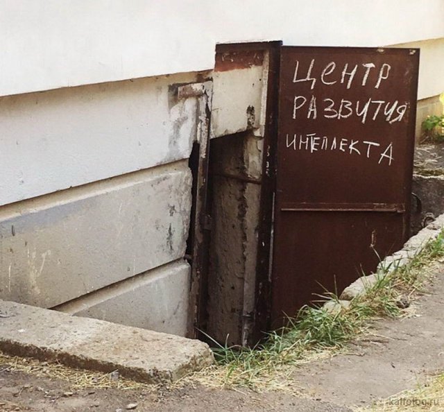 Картинок пост