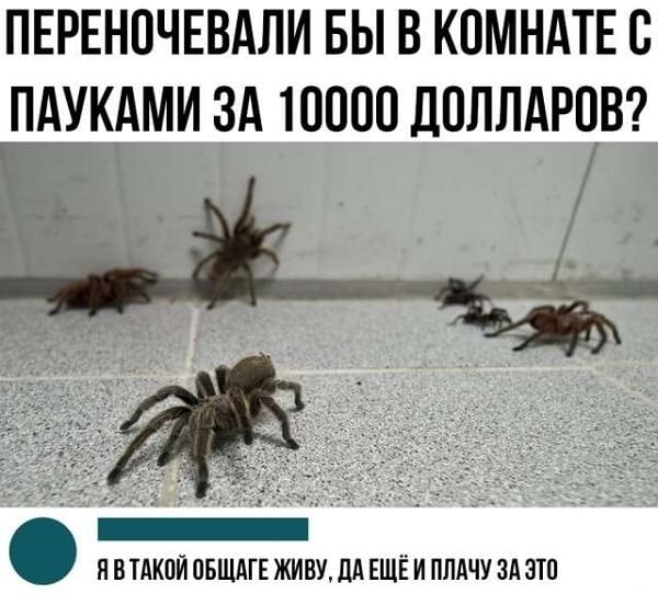 Картинки с надписями