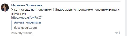 Помогите вернуть кота! Приют "Преданное сердце" украл кота и не отдает!-2