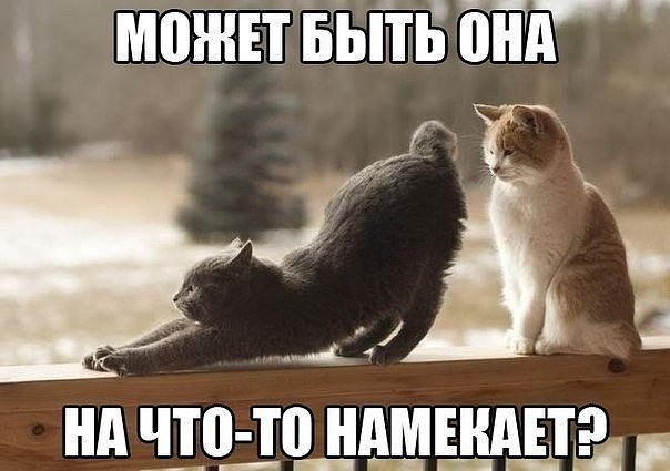 Картинки про это самое и все что с ним связано. 16+
