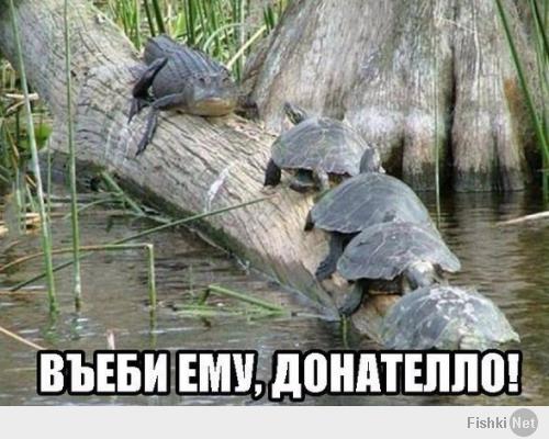 Не по зубам