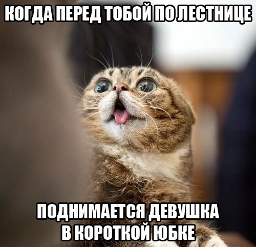 Боянистые картинки 19.12.20