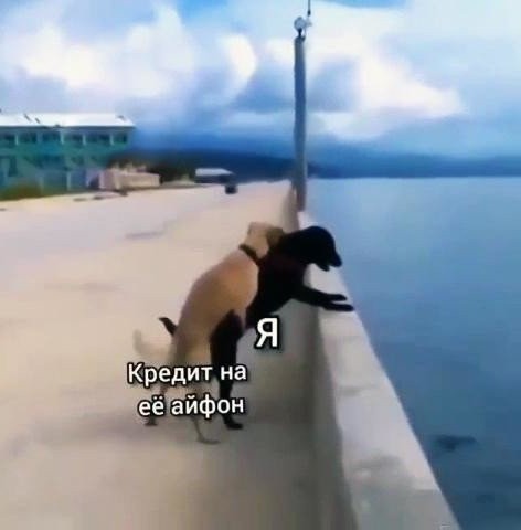 Шутки от пользователей социальных сетей про расставания