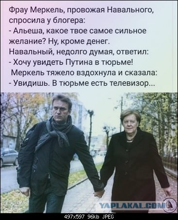 Суд над Навальным. Продолжение.