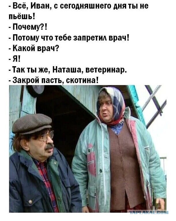 Женское насилие в семье