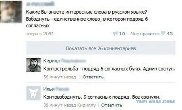 Свинегрет: картинки, надписи и прочее на 20.02.21 или №30