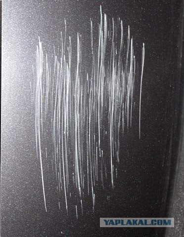 Ford Door Edge Protector