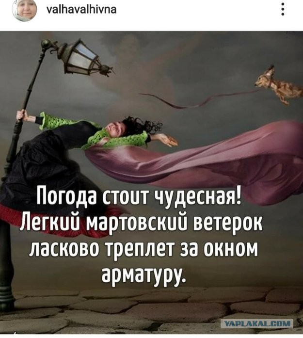 35 картинок с надписями 21.05.2021