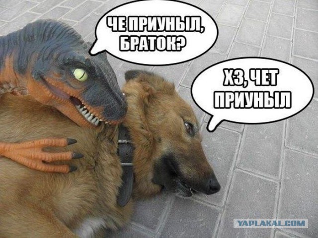 Его обманули