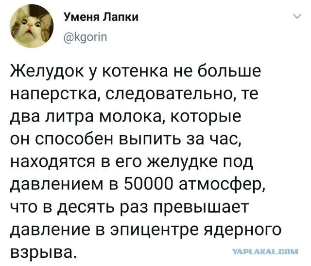 30 веселых картинок #2