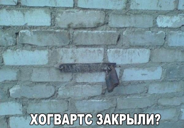 Так себе картинки 11.08.21
